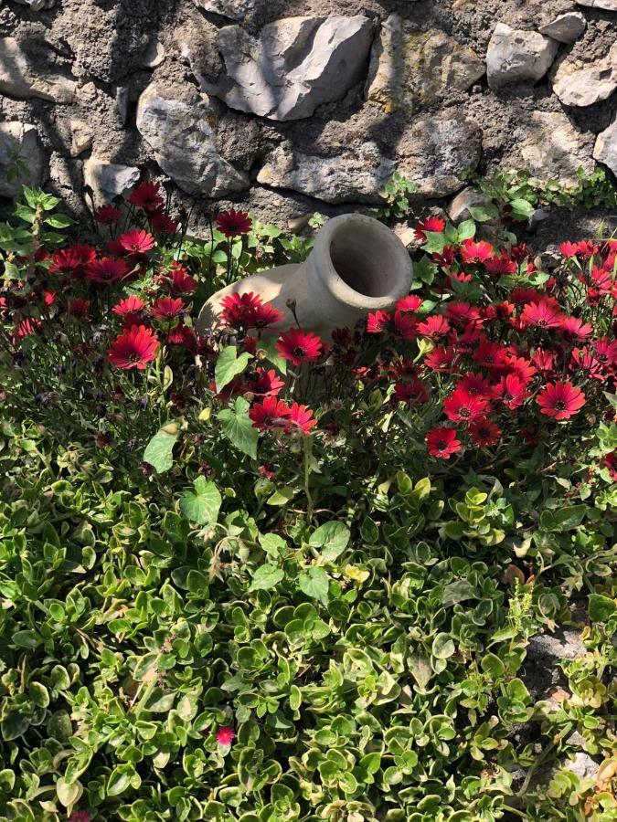 Villa Johnny&Mary's house breathtaking view locazioneturistica Taormina Esterno foto